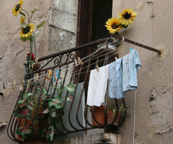 photo "sunflowers" tags: architecture, landscape, 