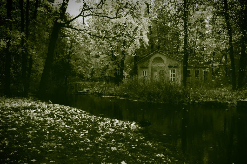 photo "***" tags: landscape, autumn