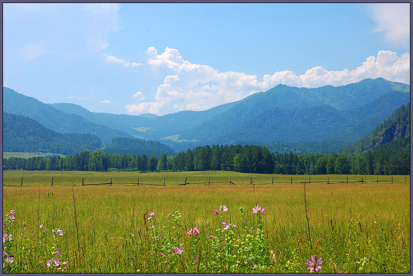 photo "Sunny field" tags: landscape, mountains, summer