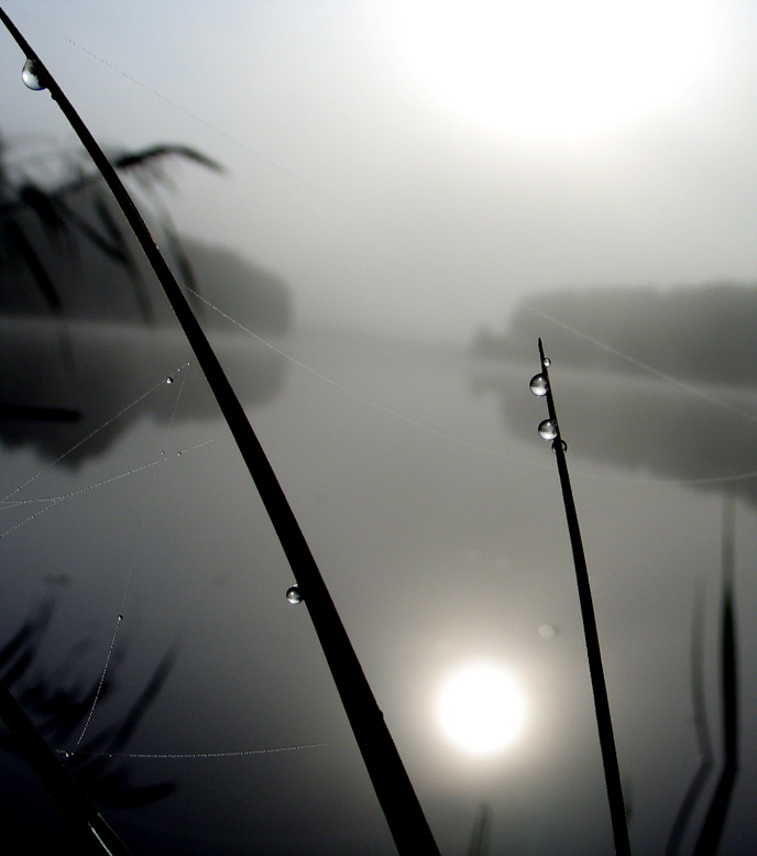 photo "***" tags: landscape, water