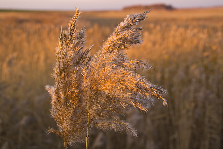 photo "***" tags: landscape, sunset