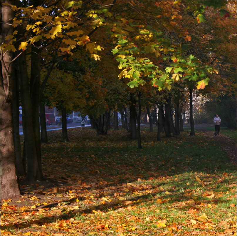 photo "On the roads of autumn" tags: landscape, autumn