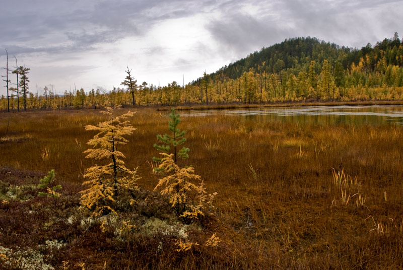 photo "The autumn..." tags: landscape, autumn, water