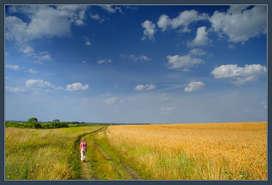 photo "The road to summer" tags: landscape, clouds, summer