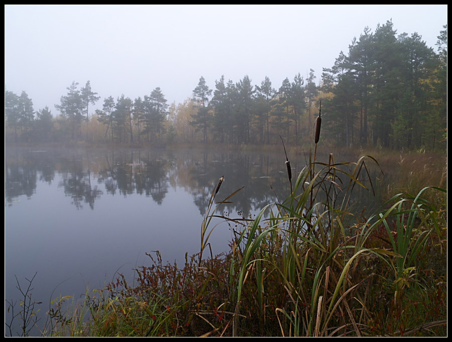 фото "В тишине октября" метки: пейзаж, осень
