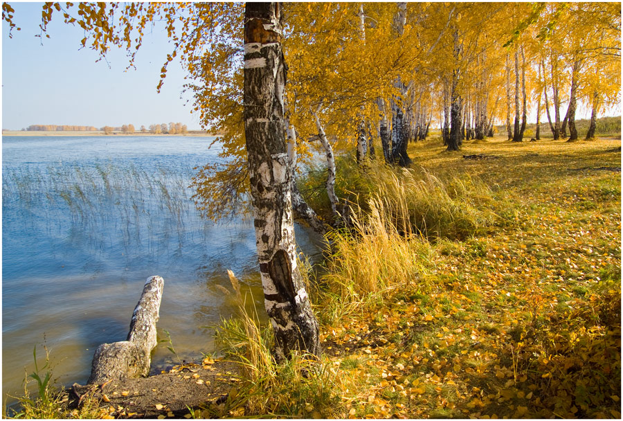 фото "У осени на берегу # 2" метки: пейзаж, вода, осень