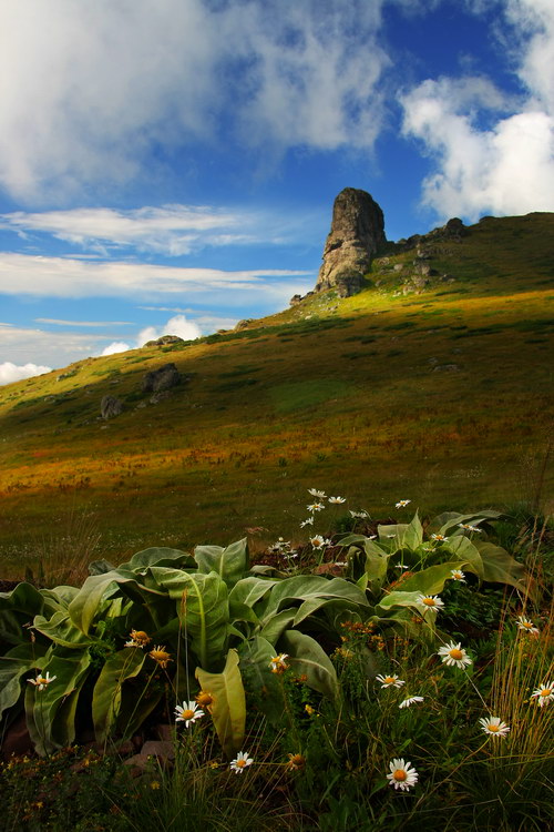 photo "Balkan Mountain" tags: landscape, mountains
