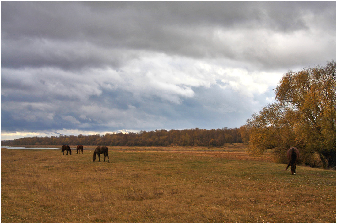 photo "***" tags: landscape, autumn