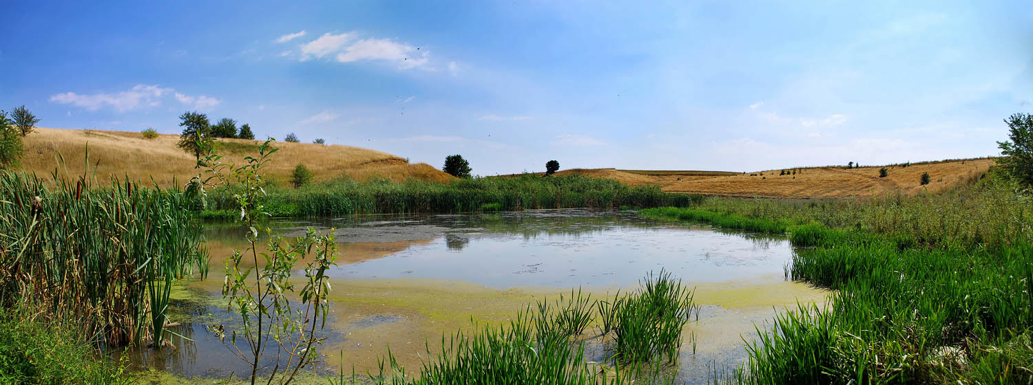 photo "***" tags: landscape, summer, water