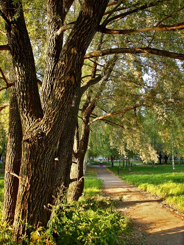 photo "***" tags: landscape, autumn