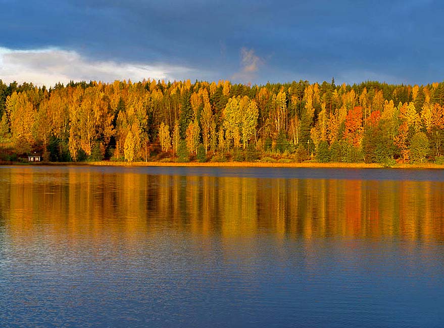 фото "А на том берегу..." метки: пейзаж, лес, осень