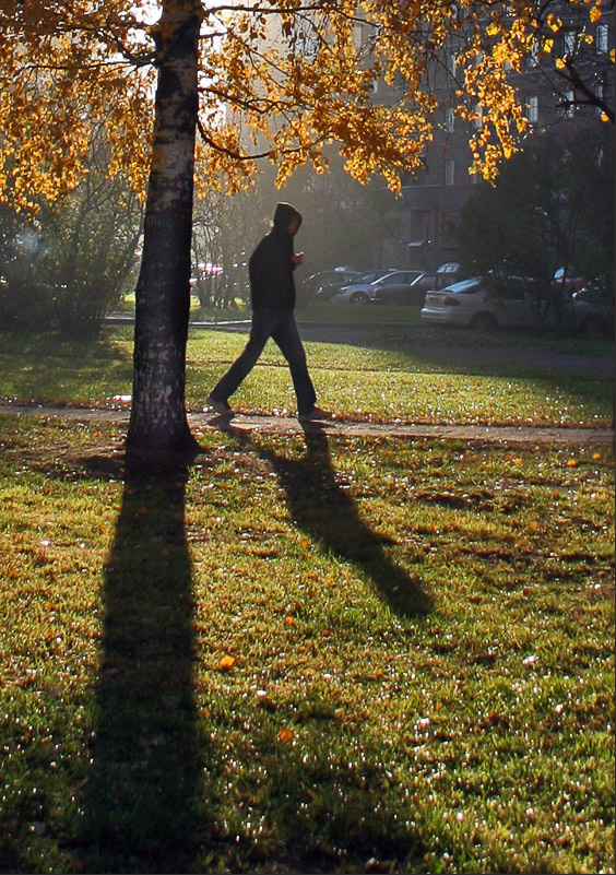 photo "The autumn morning" tags: landscape, autumn