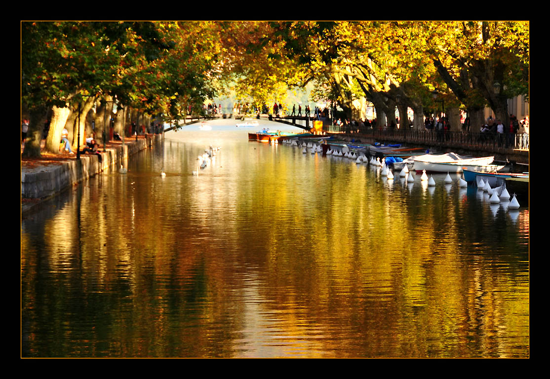 photo "Golden Gate" tags: landscape, autumn, water