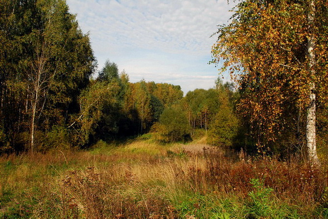 фото "Бабье лето" метки: пейзаж, осень