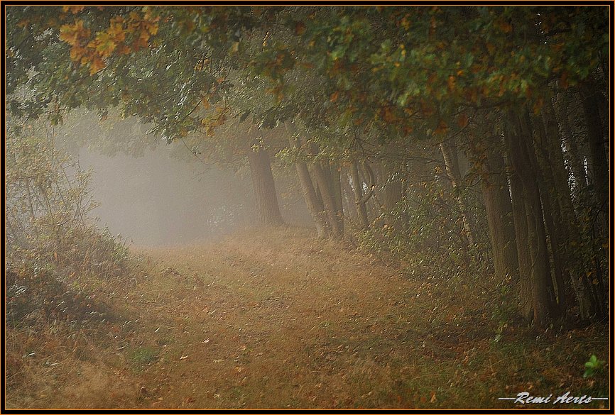 фото "one misty morning" метки: пейзаж, закат