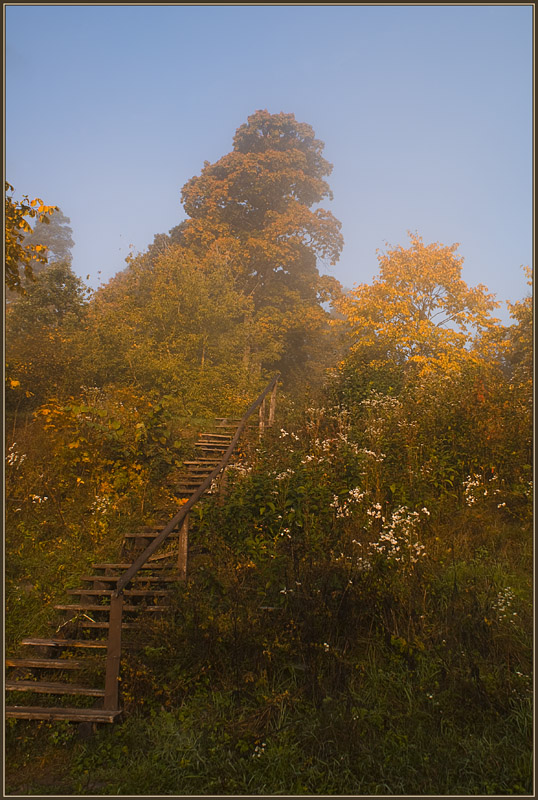 фото "Лестница в осень..." метки: пейзаж, осень
