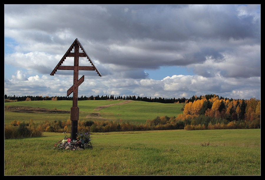 photo "***" tags: landscape, forest