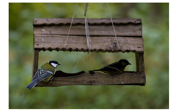 photo "* * *" tags: nature, wild animals