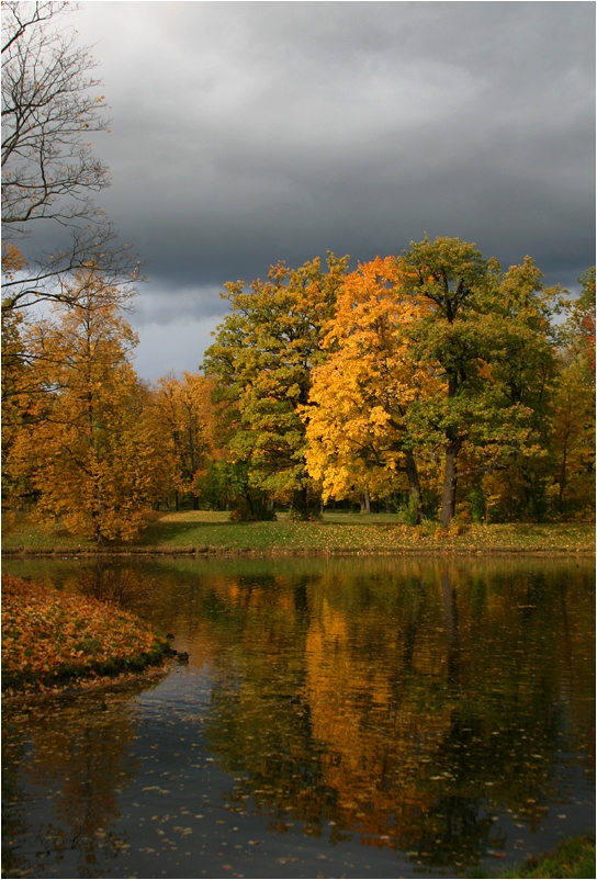 photo "Palette of autumn" tags: landscape, autumn, forest