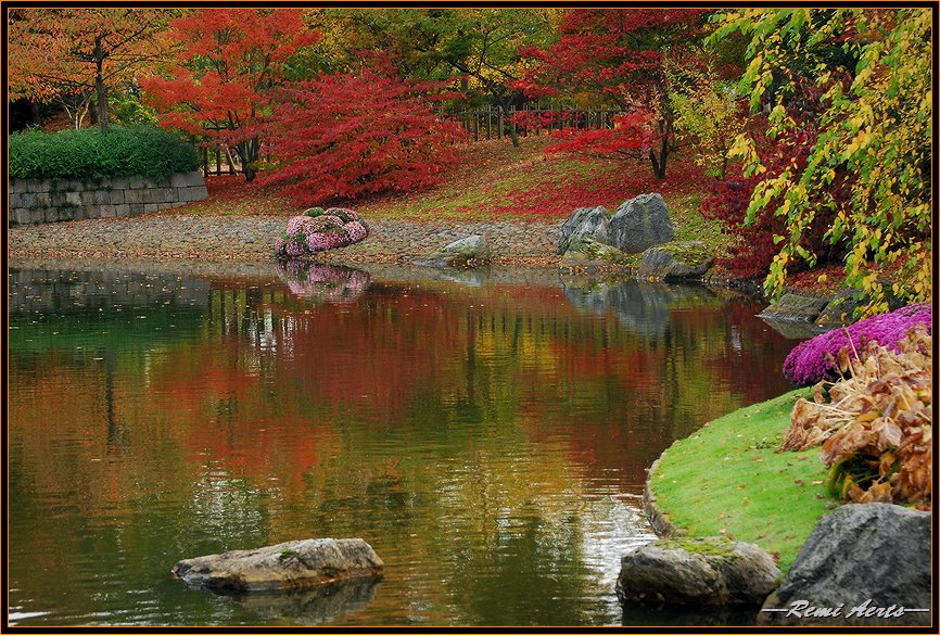 фото "garden of Eden" метки: природа, пейзаж, вода, цветы