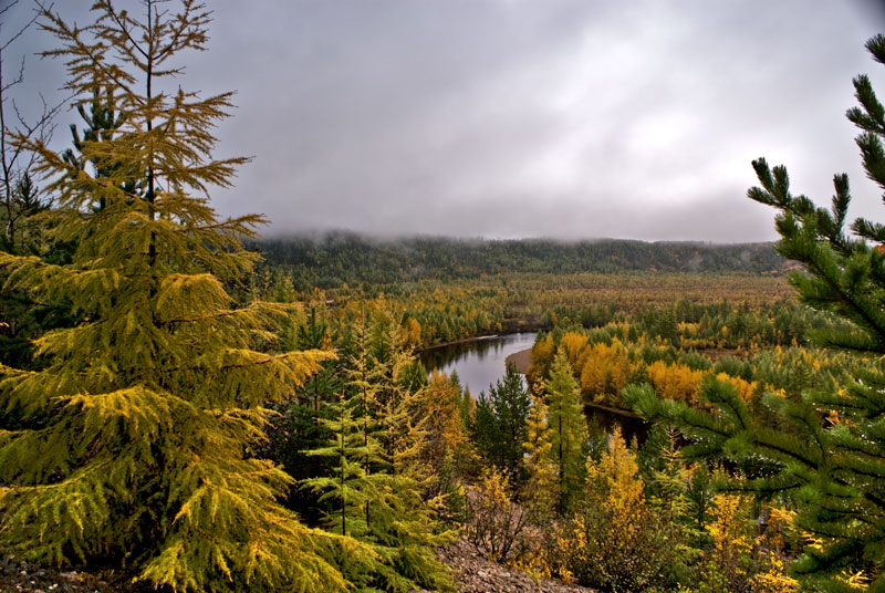 photo "* * * *" tags: landscape, autumn, forest