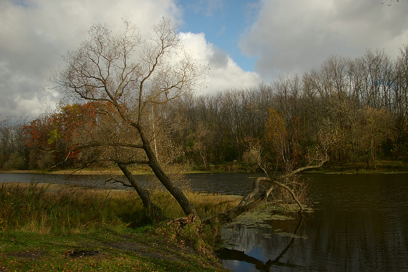 photo "***" tags: landscape, autumn