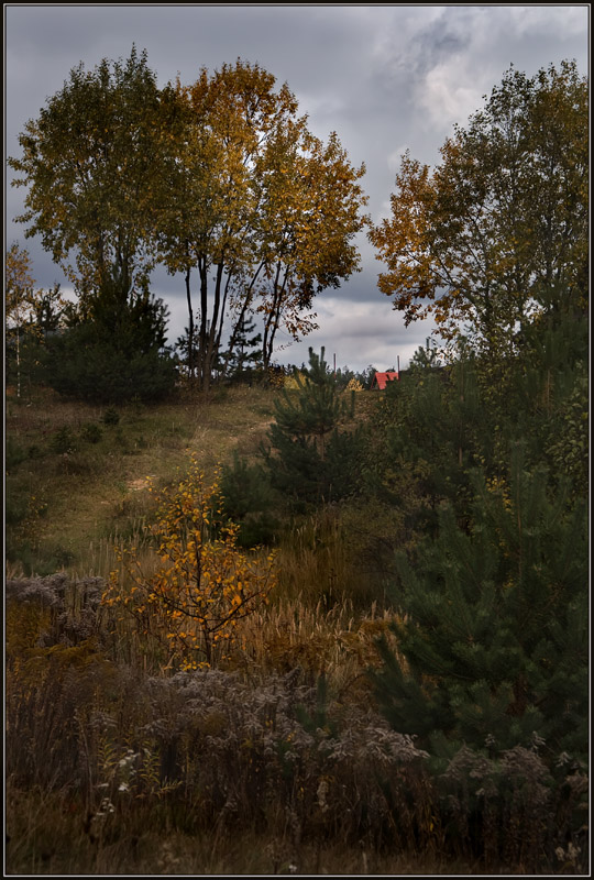photo "Homeward" tags: landscape, autumn