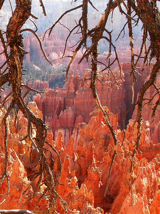 photo "Labyrinths of Bryce Canyon" tags: travel, misc., 