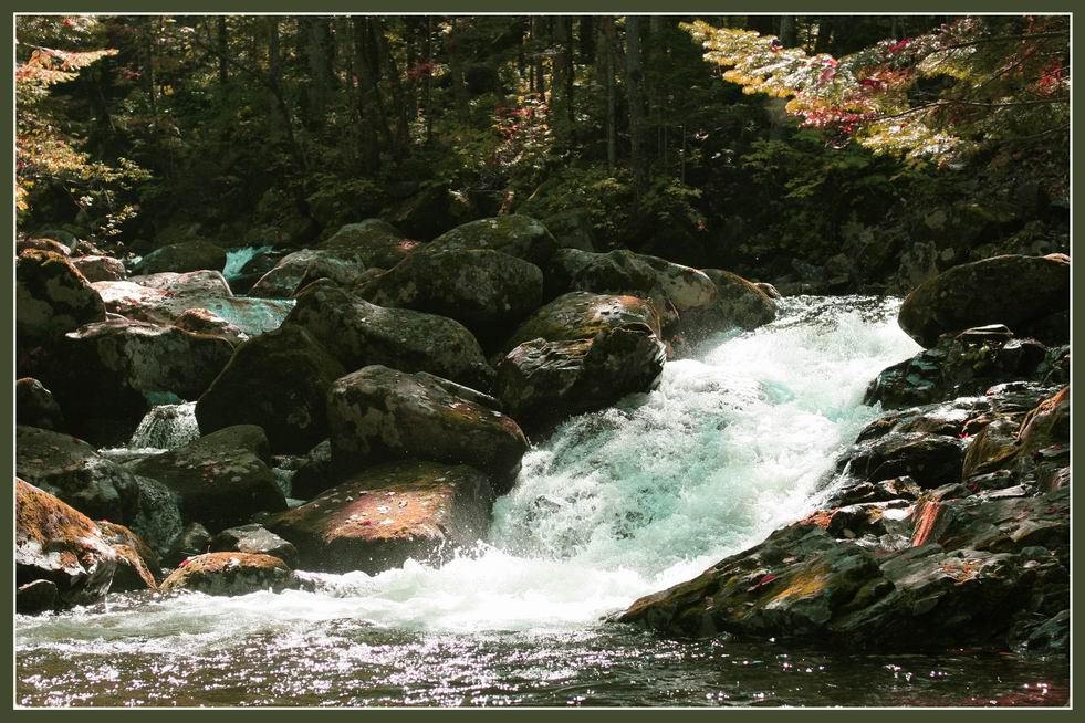 photo "***" tags: landscape, autumn, water