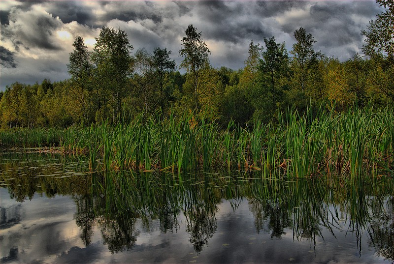 photo "***" tags: landscape, forest, water