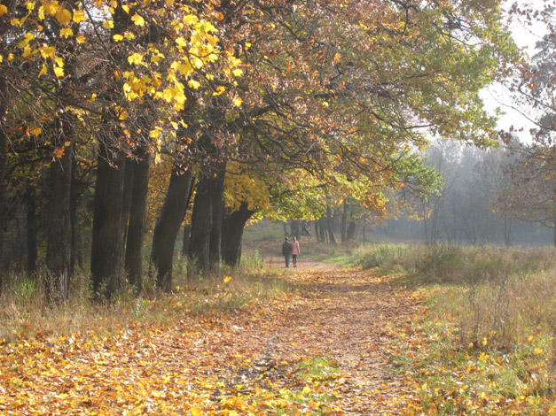 photo "They are leaving" tags: landscape, autumn