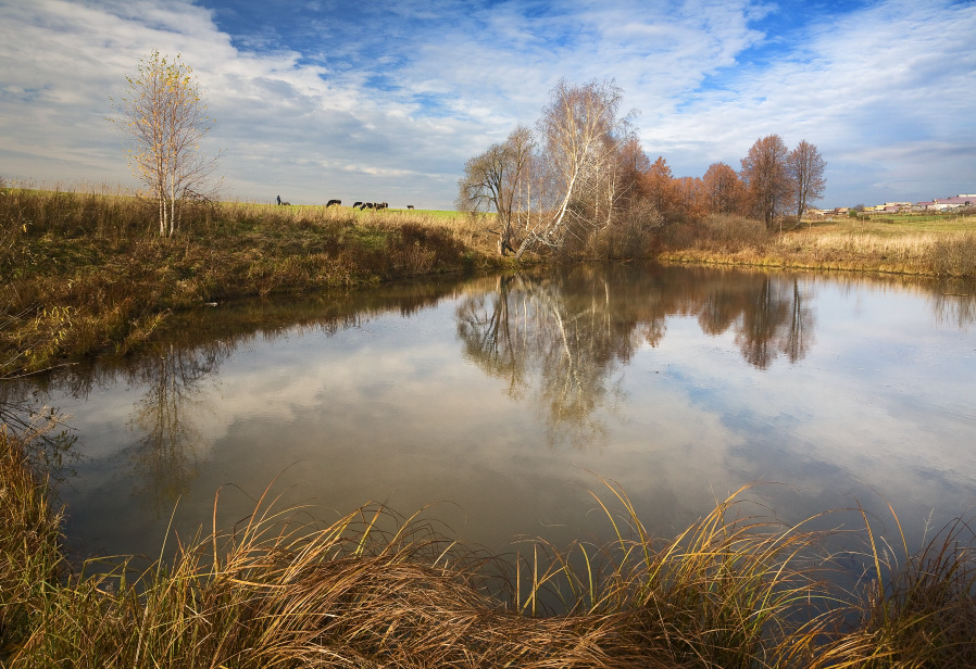 photo "***" tags: landscape, autumn