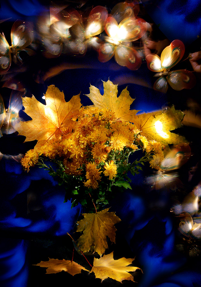 photo "Autumn dream" tags: abstract, still life, 