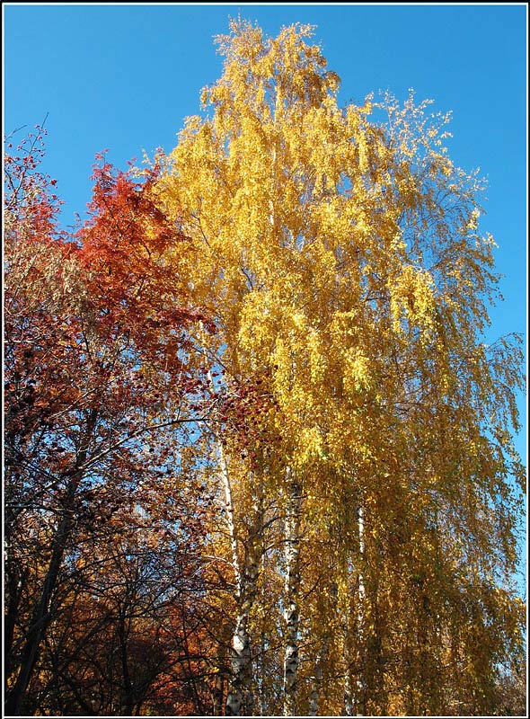 фото "Осень на Урале" метки: пейзаж, осень