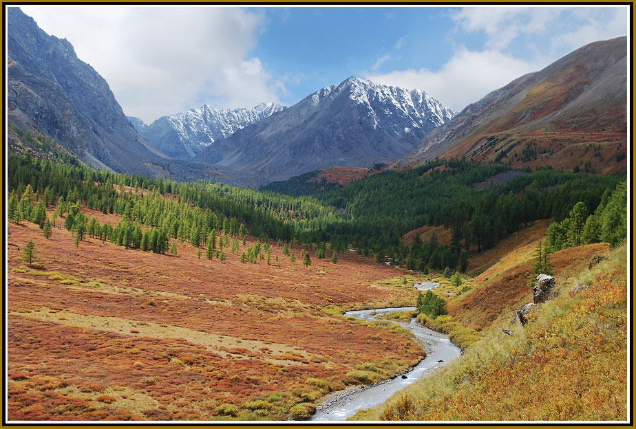 photo "Fields of gold" tags: landscape, mountains