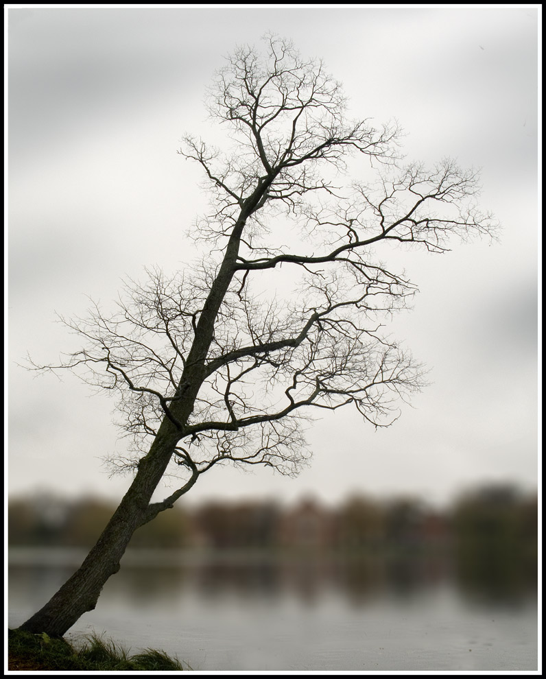 photo "Diagonal II, fall" tags: landscape, autumn, water