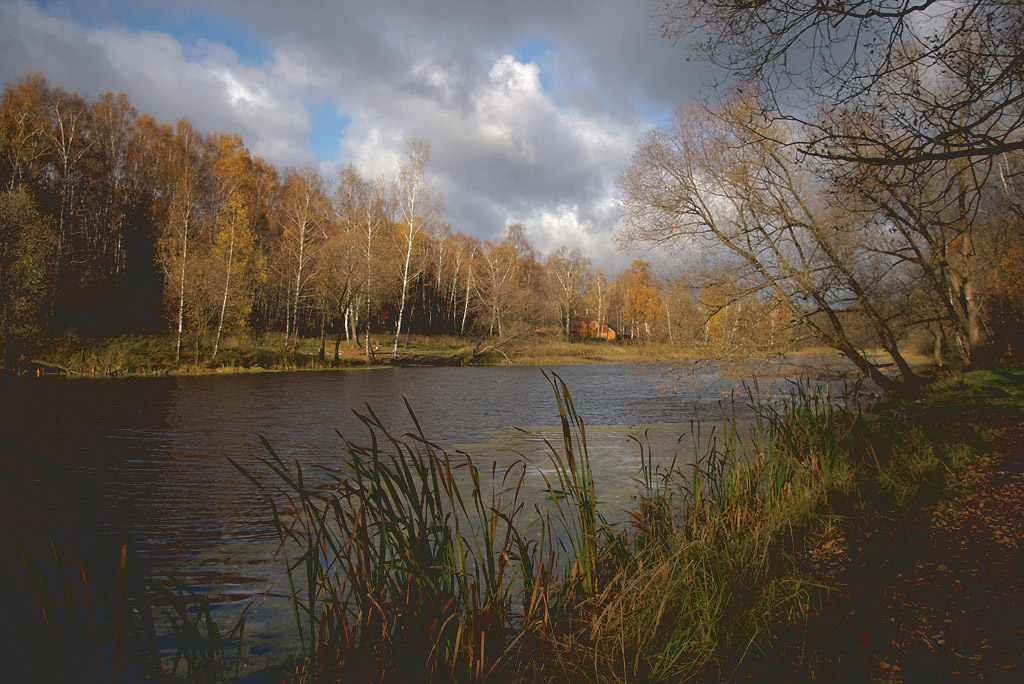 photo "***" tags: landscape, autumn