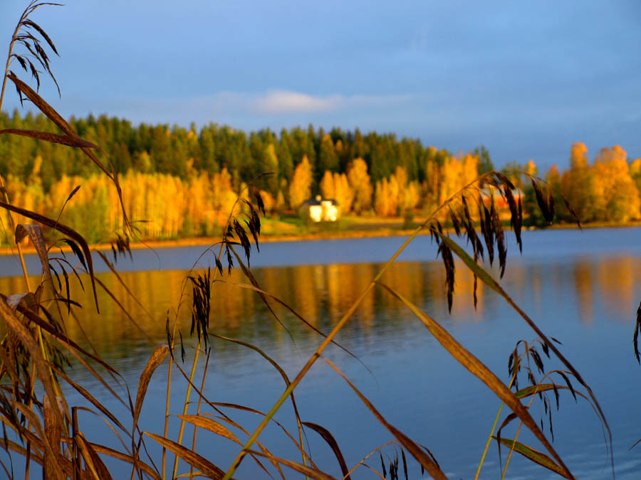 photo "Autumn Landscape" tags: landscape, autumn, water