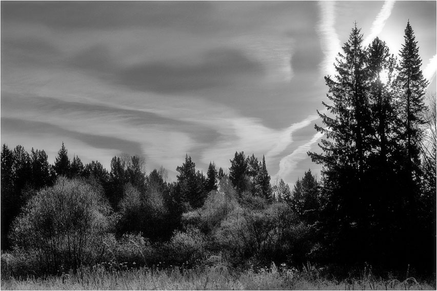 photo "***" tags: black&white, landscape, autumn