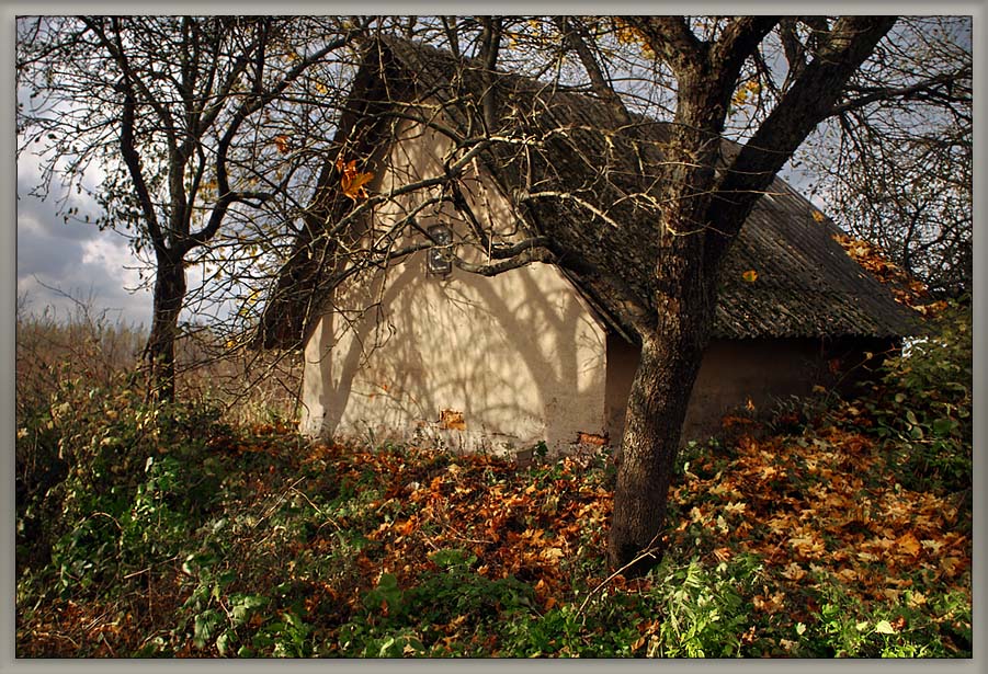 photo "Has hidden :)" tags: landscape, autumn
