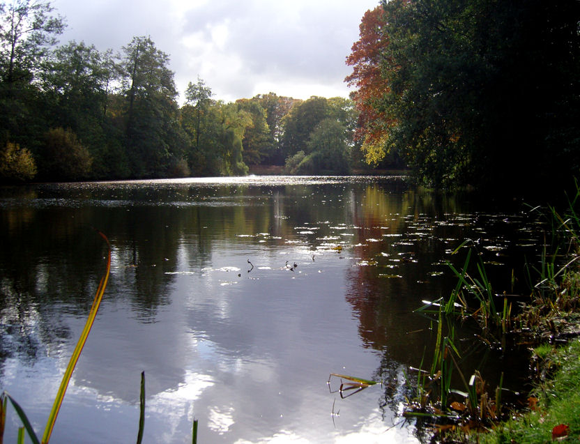 photo "beginning Autumn" tags: landscape, water