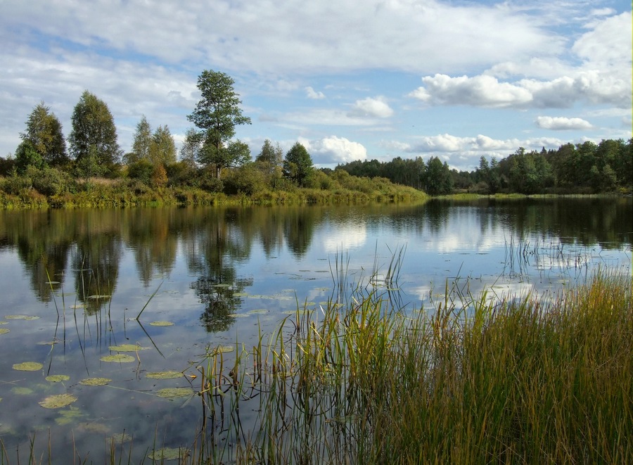 photo "***" tags: landscape, autumn, water