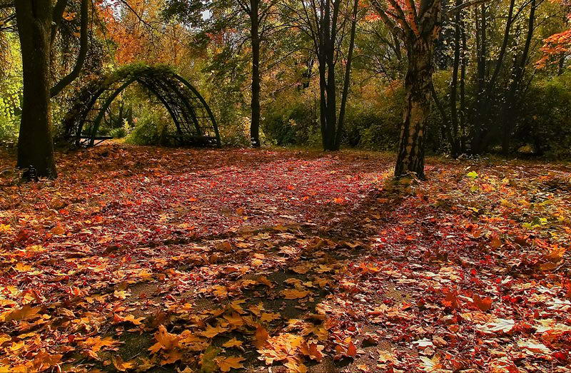 photo "***" tags: landscape, autumn