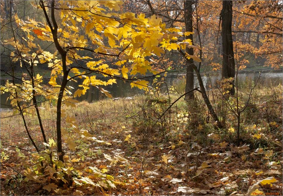 photo "Autumn etude" tags: landscape, 