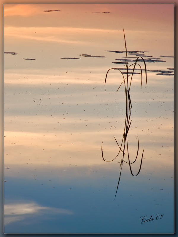 photo "The Instant" tags: nature, landscape, flowers, water