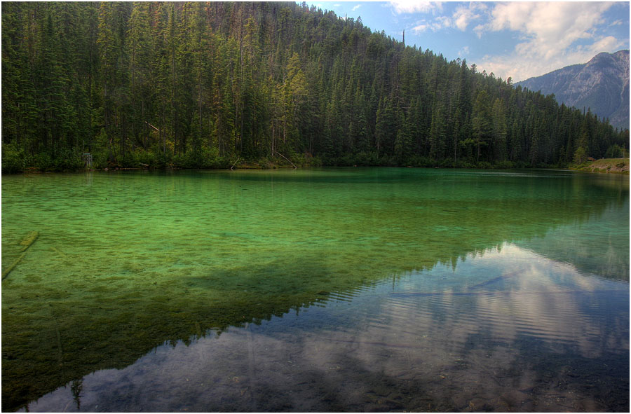 photo "Olive lake diagonals" tags: landscape, travel, water