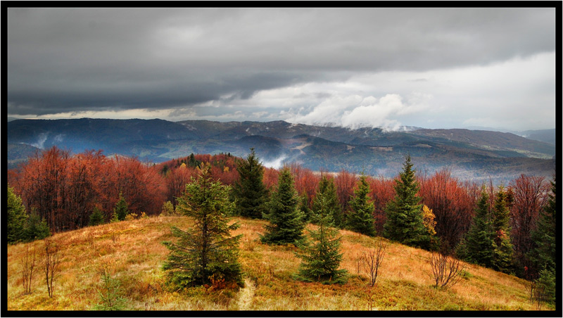 photo "after rain..." tags: landscape, autumn, mountains