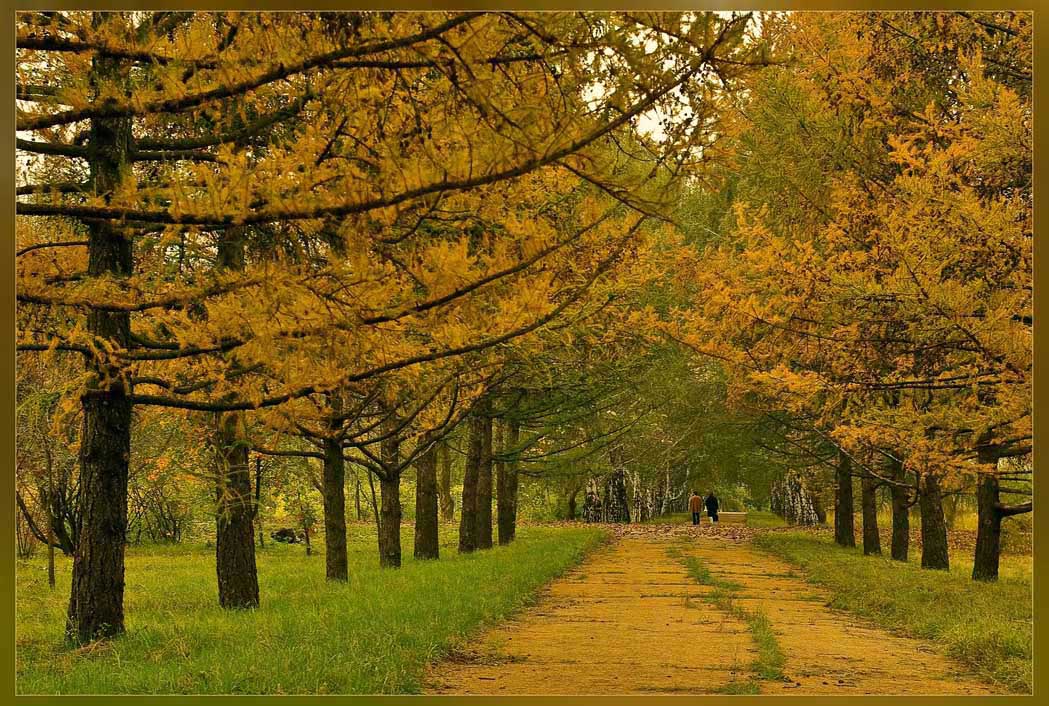 photo "***" tags: landscape, autumn