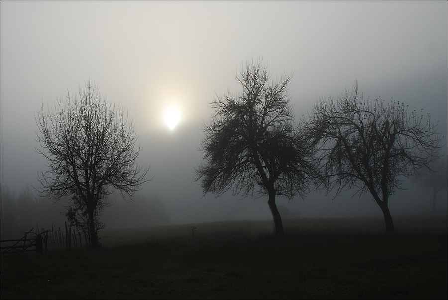 фото "In the mists" метки: разное, 