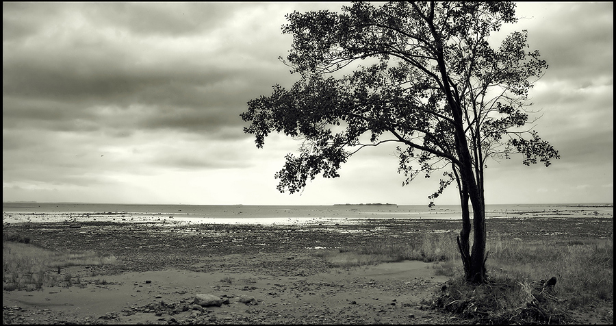 photo "***" tags: landscape, autumn